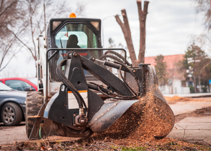 Tree stump grinding in Chula Vista, California